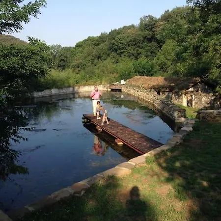 Huge Charming Manor House. Waterfall & Volcanoes Santa Pau